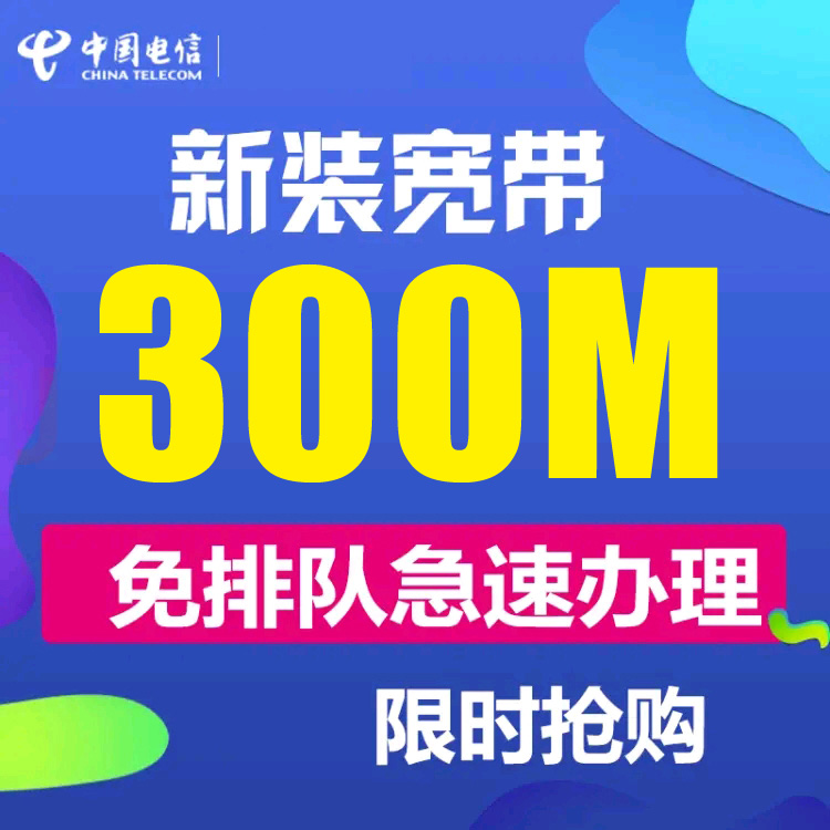 电信300Mbps宽带融合套餐(月交)